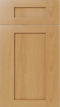 Door preview